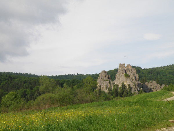 Ирина Антон