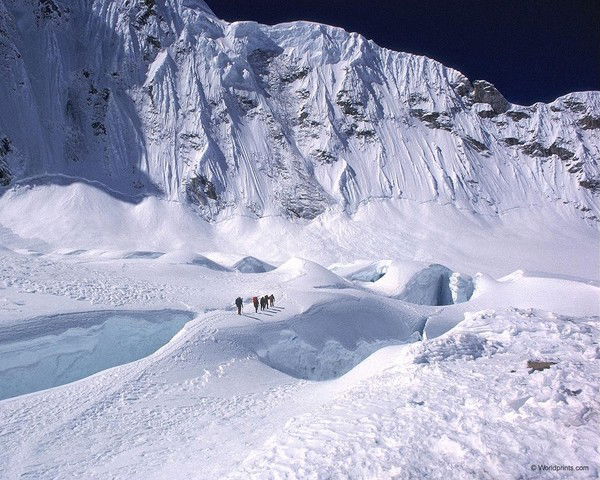 Александра Колесова