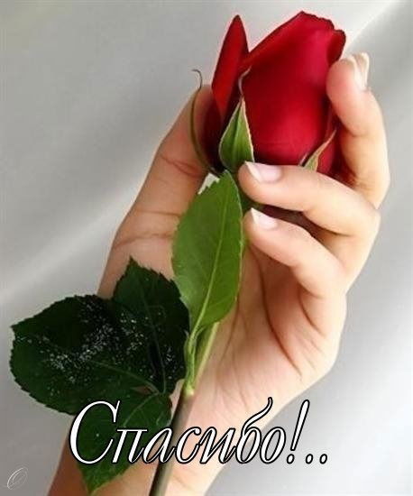 Наталия Якимова