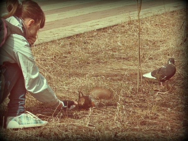 София Сергеевна