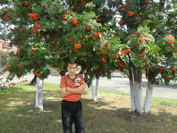 Игорь Стариков