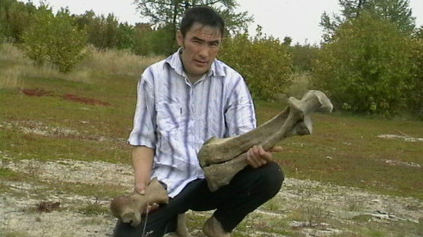 Нека Лаптандер