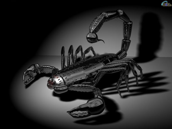 Таня Изотова