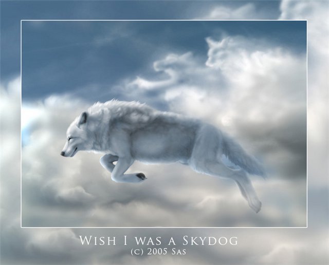 Николай Астафьев