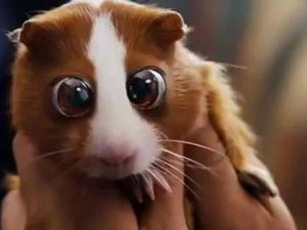 Елена Горина