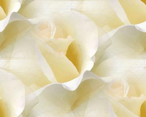 Скадовская Оош - Ст. №3