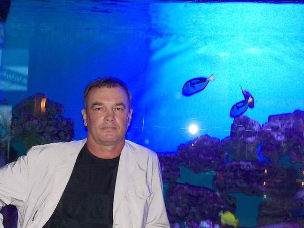 Евгений Соломеин