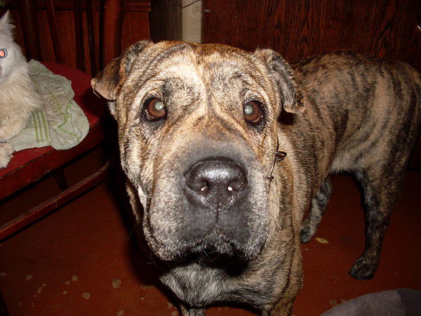 Мария Иванова