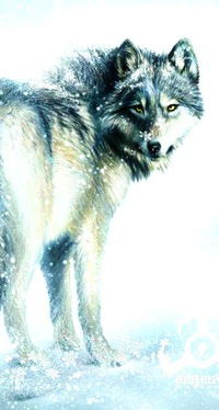 Наталья Бойко