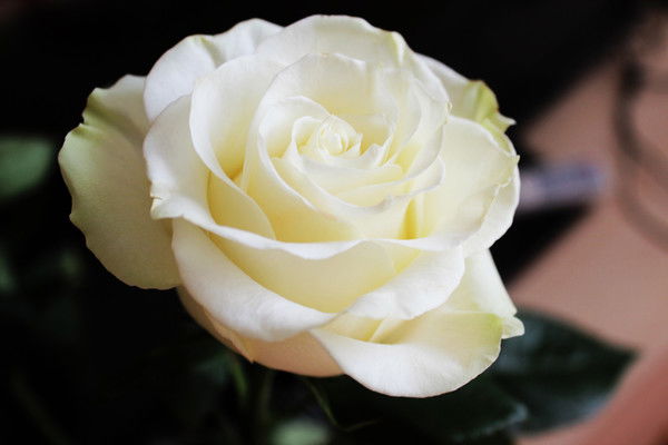 Мария Гусаренко