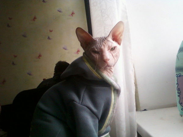 Дмитрий Дорошенко