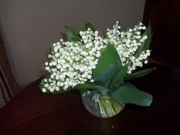 Макарова Галина