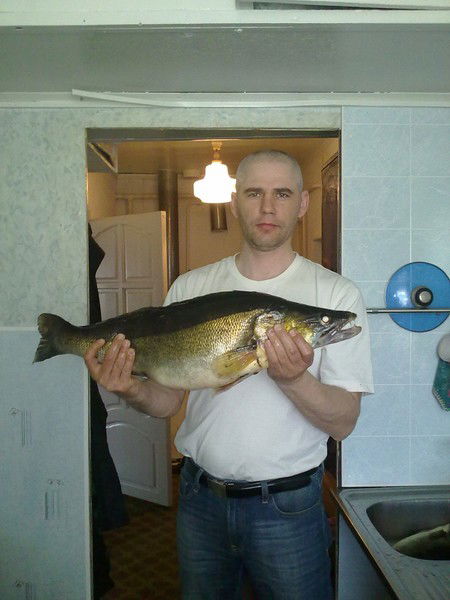 Слава Гаврюшин