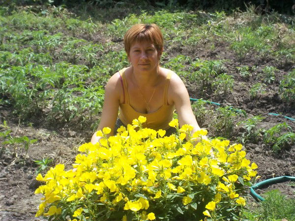 К С Ю Н И Ч К А