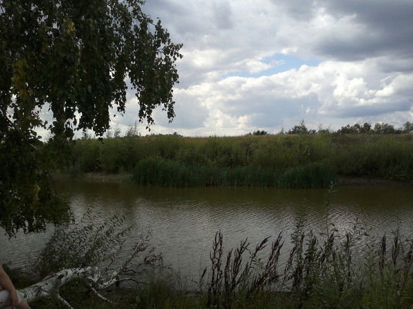 Людмила Платонова