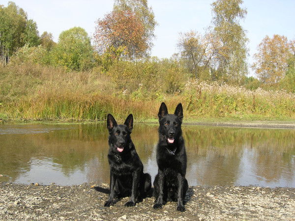 Евгений Булатов