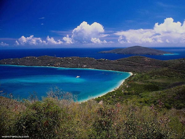 Ирина Никитина