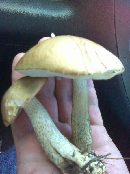 Татьяна Татьяна