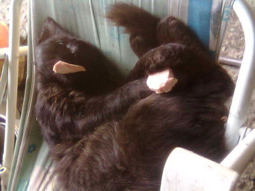 Слава Букша