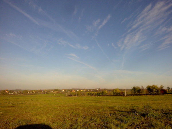 Дмитрий Акимов