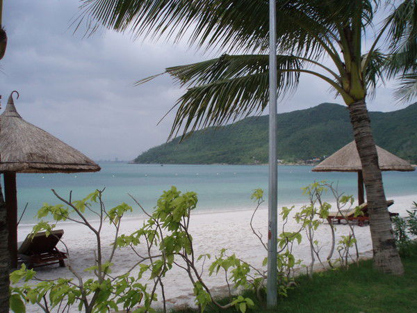 Сауле Уайттакер