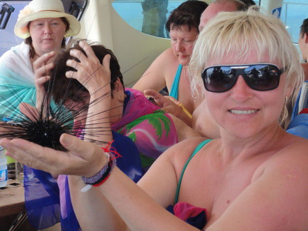 Елена Сергеева