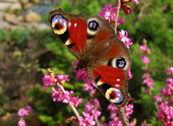 Юлия Пилипенко