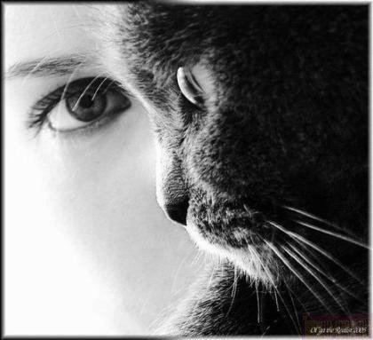 Елена Мирзаева