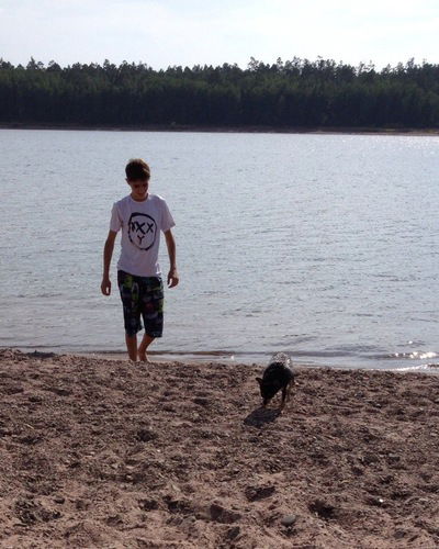 Дима Маурер