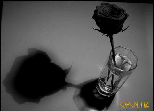 Одинокая И Черная