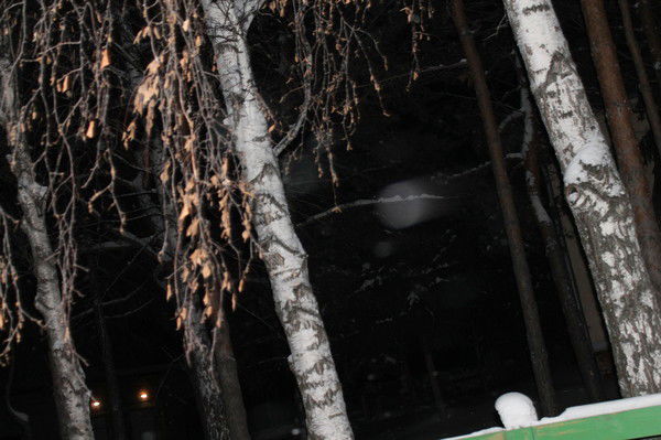 Татьяна Забелина