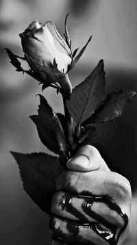 Андрей Шахматов