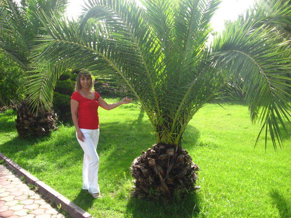 Ландыш Гималетдинова