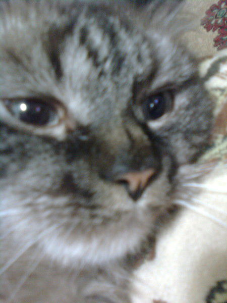 Татьяна Мезина