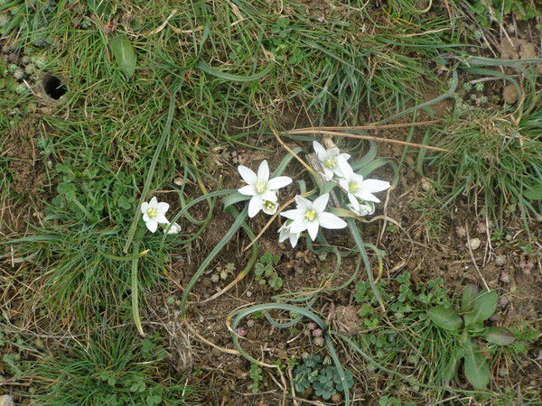 Татьяна Набока