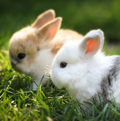 Кристина Горынина