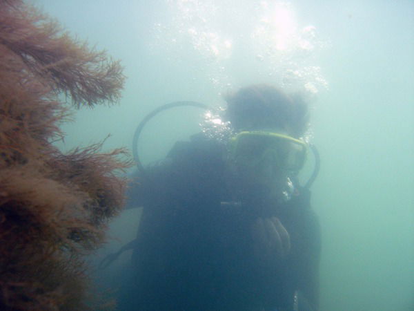 Светлана Степанова