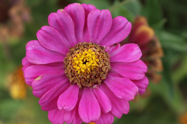 Берик Жанайдаров