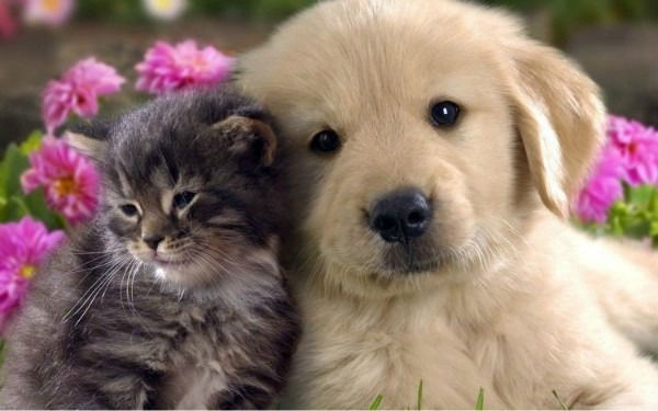 Светлана Назарова