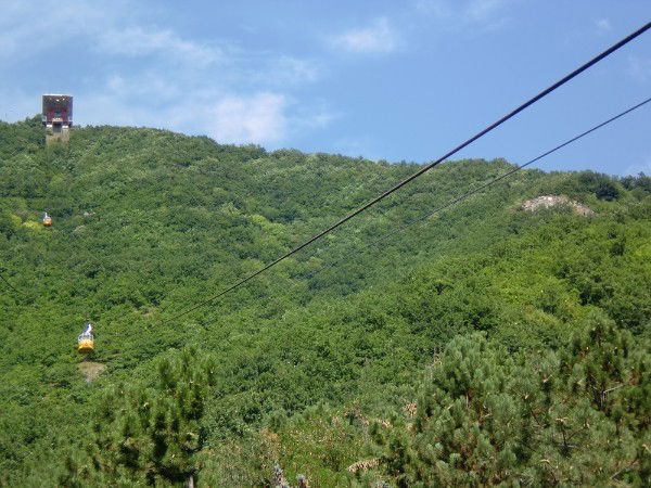 Энн-Мари Керолайн