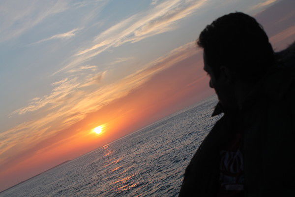 $$Mostafa$$ !!tiger!!