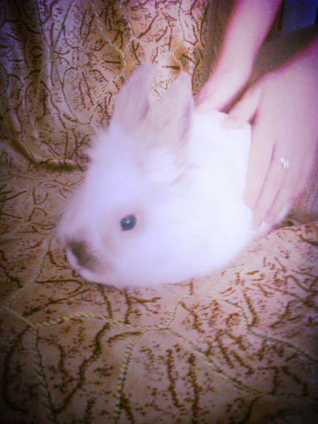 Салтанат Мырзахатова