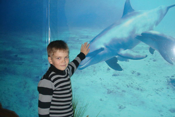 Дамир Гайфуллин