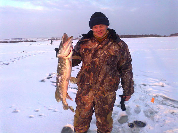 Сергей Паличев