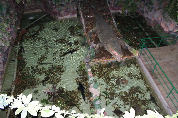 Наргиза Туремуратова