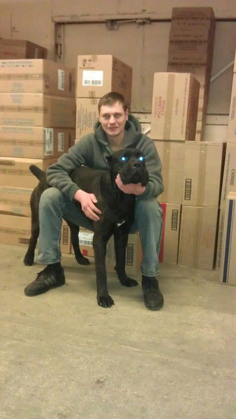 Дмитрий Шпанов