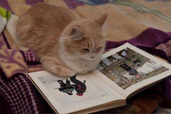 Татьяна Суковицына