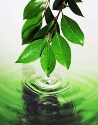 Татьяна Кугушева