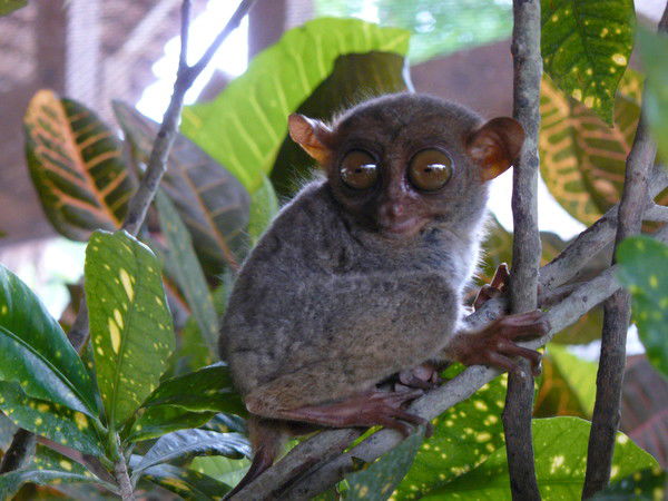 Discovery Турагенство