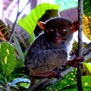 Discovery Турагенство